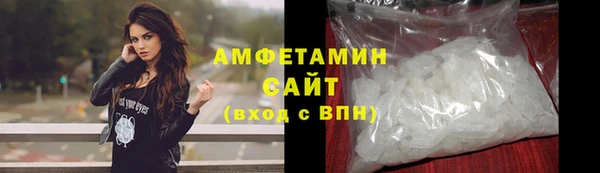 сатива Алзамай