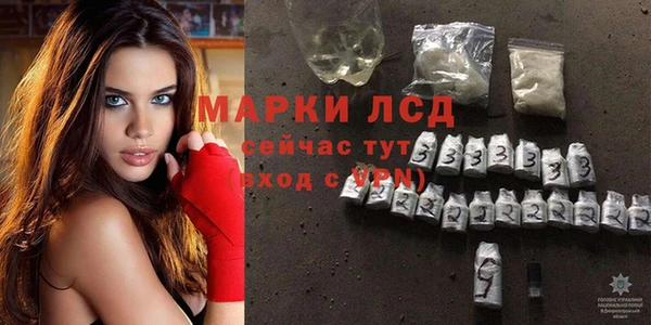 сатива Алзамай