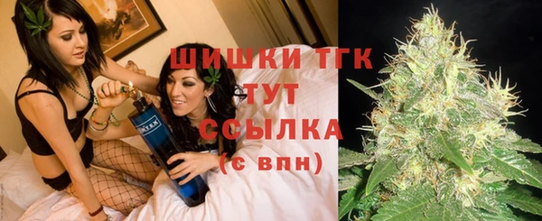 сатива Алзамай