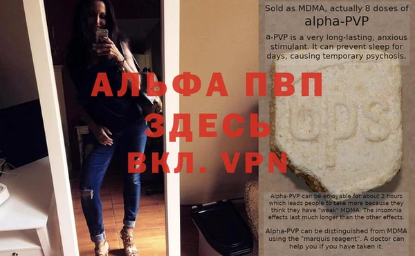 сатива Алзамай