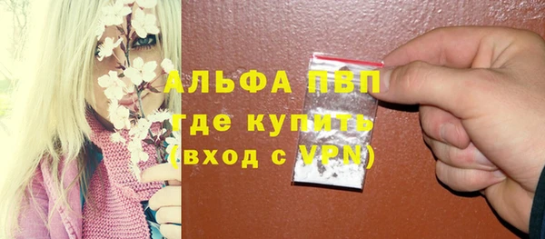 мет Алексин