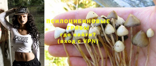 мет Алексин
