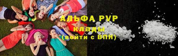 сатива Алзамай