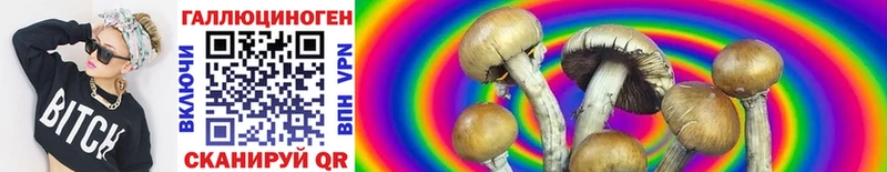 mega зеркало цена наркотик Баймак Галлюциногенные грибы Psilocybine cubensis