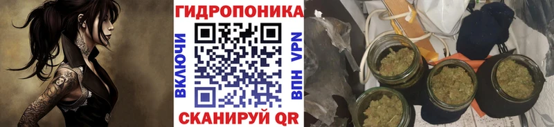 blacksprut   Баймак  Конопля ГИДРОПОН 